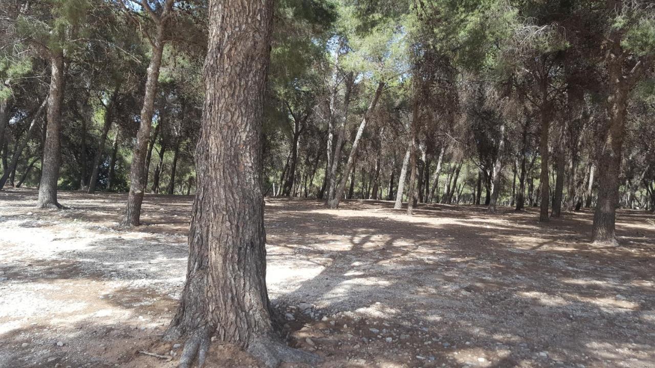Semi-Detached Adosado Con Encanto -130 M2 - Wifi 600 Mb - Piscina Comunitaria - Patio Privado Τορρεμολίνος Εξωτερικό φωτογραφία